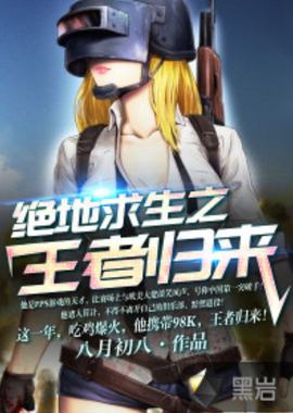 热火的成功 热火的成功