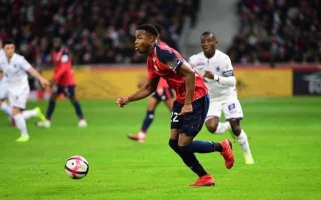 除此以外 除此以外