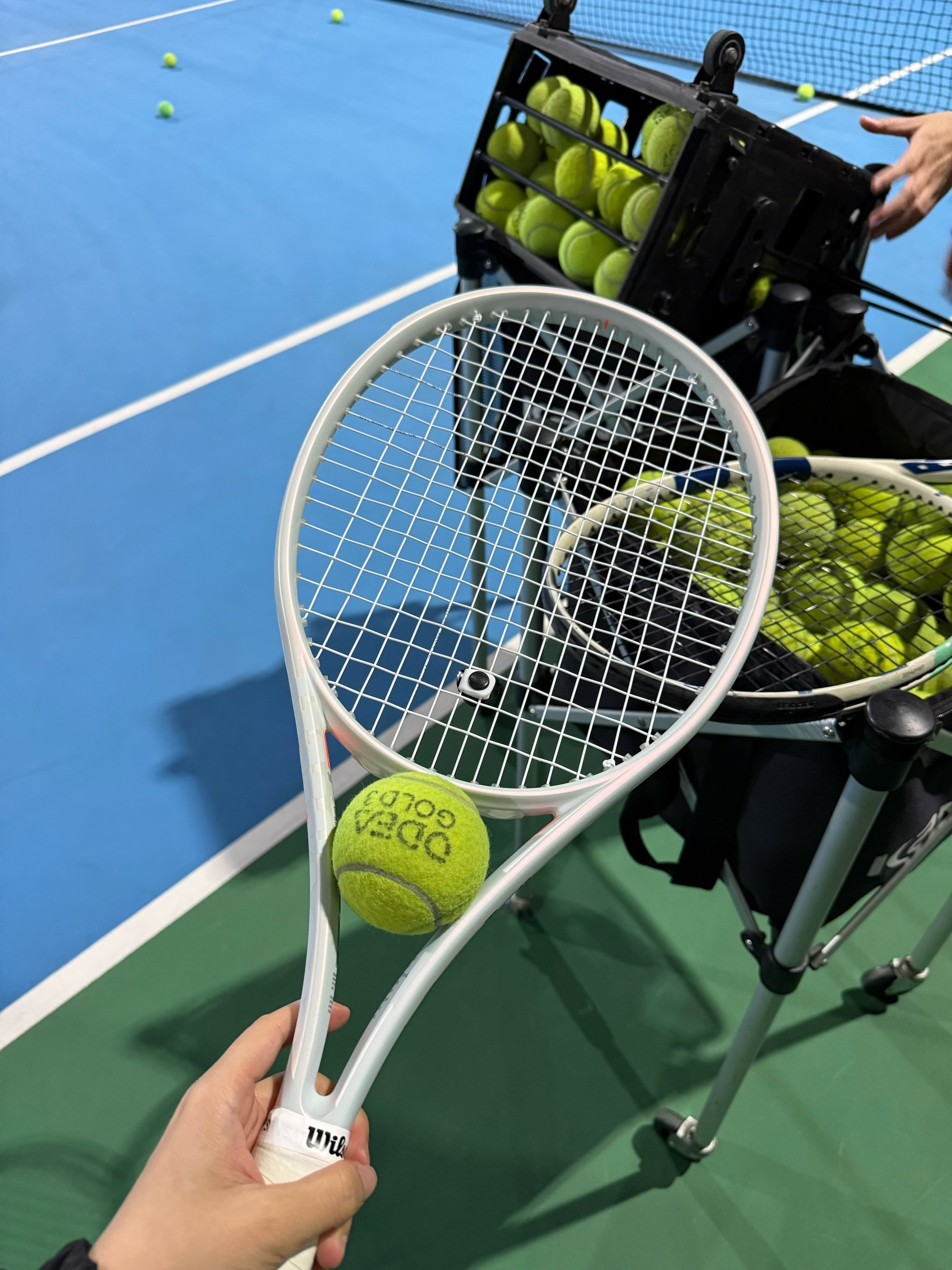 利奠定了基 利奠定了基